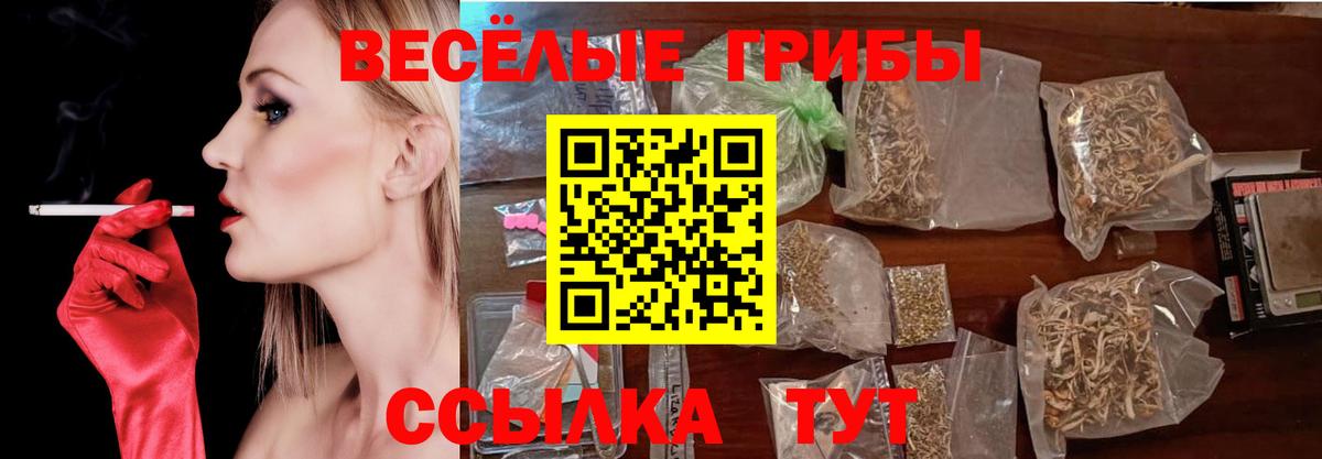 Псилоцибиновые грибы мухоморы Муром