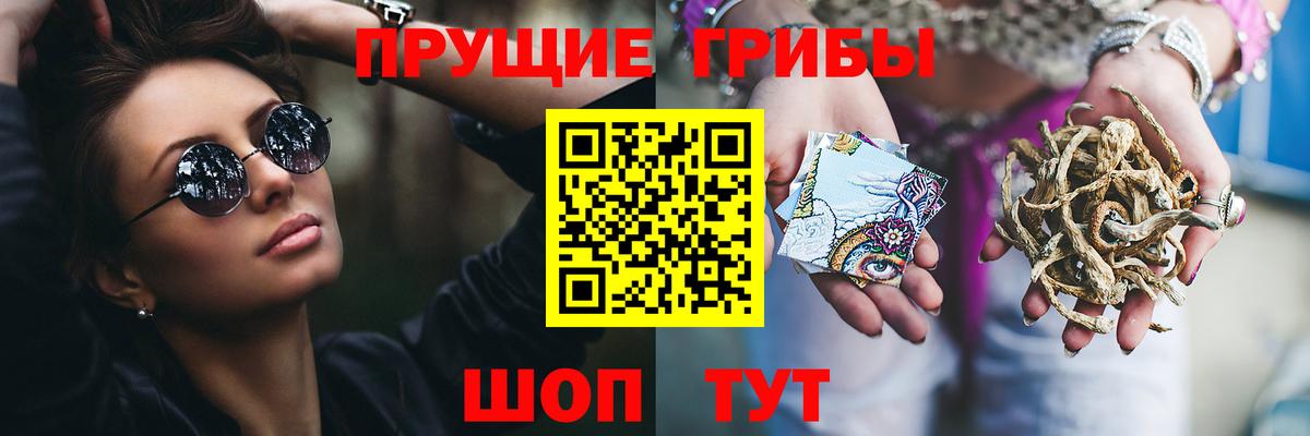 Псилоцибиновые грибы MAGIC MUSHROOMS  Вход с VPN  Псилоцибиновые грибы Magic Shrooms  Муром 